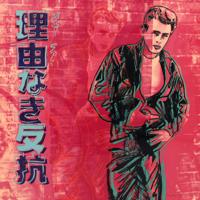 Andy Warhol REBEL WITHOUT A CAUSE (James Dean) Screenprint - Sold for $140,800 on 02-21-2026 (Lot 186).jpg